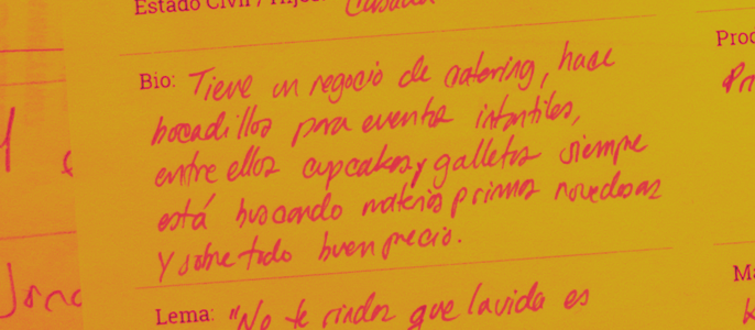 Design Persona Canvas Bio